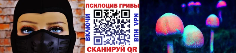 Псилоцибиновые грибы Cubensis  купить закладку  МЕГА как войти  Касли 